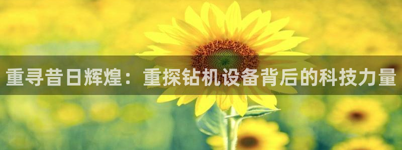 顺盈娱乐2
