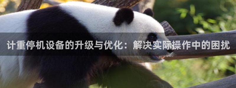 顺盈娱乐招商钱判官333OO
