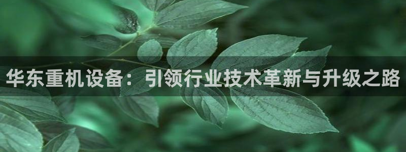 顺盈娱乐官网首页