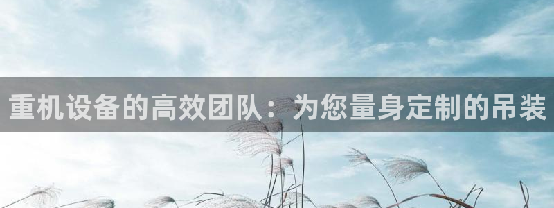 顺盈娱乐在线开户流程：重机设备的高效团队：为您量身定制的吊装