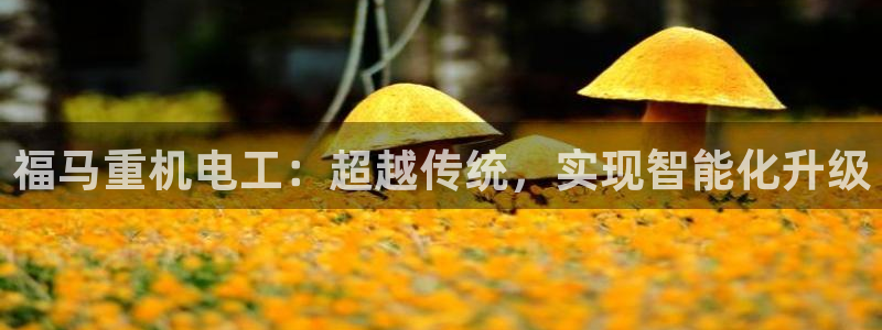 顺盈娱乐主管怎么样