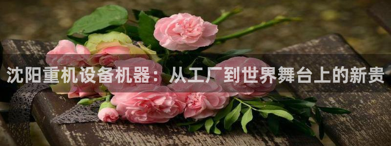 顺盈娱乐招商天原判官333OO