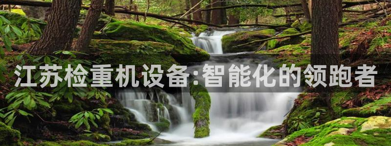顺盈娱乐官网