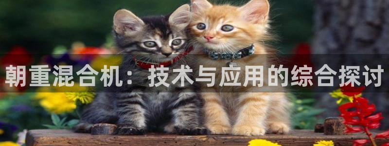 顺盈2娱乐登录平台：朝重混合机：技术与应用的综合探讨
