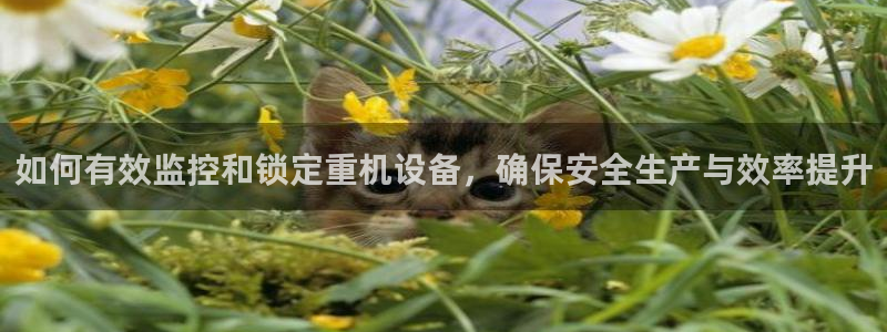 顺盈娱乐李333OO