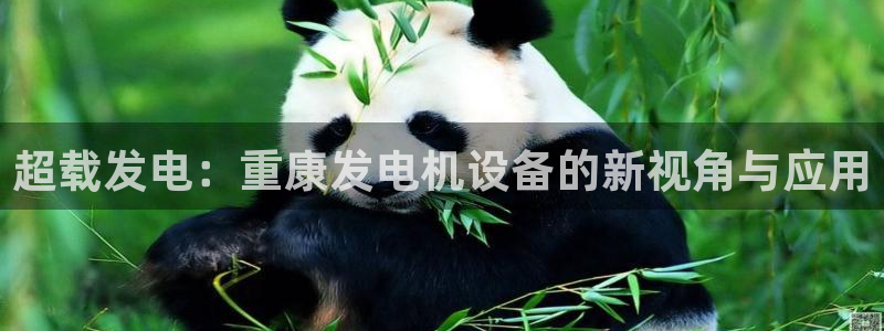 顺盈娱乐 找86555