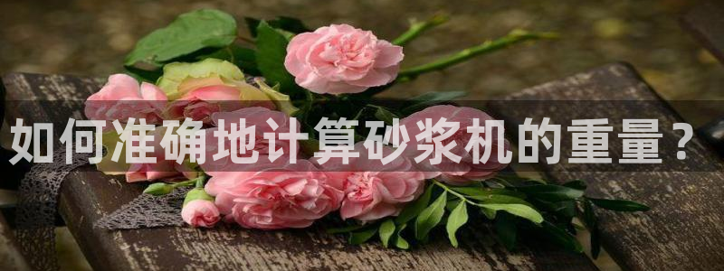 顺盈娱乐口究7276O