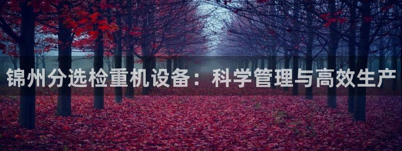 顺盈娱乐棋牌怎么样