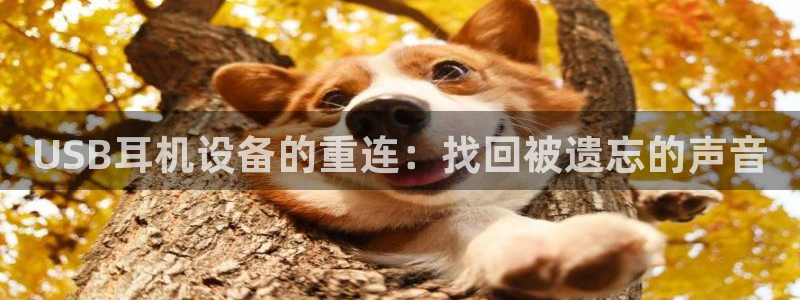 清远顺盈娱乐城