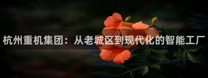 顺盈娱乐招商后原判官333OO