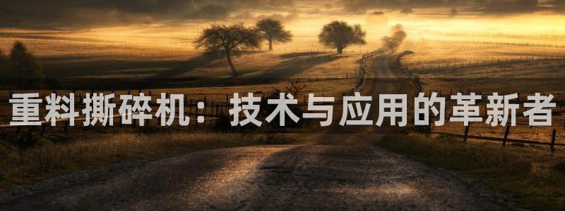 顺盈娱乐28是什么?