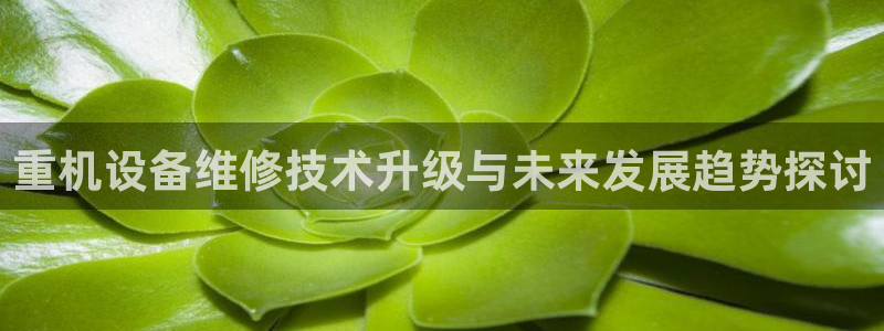 盈顺休闲娱乐室优惠：重机设备维修技术升级与未来发展趋势探讨