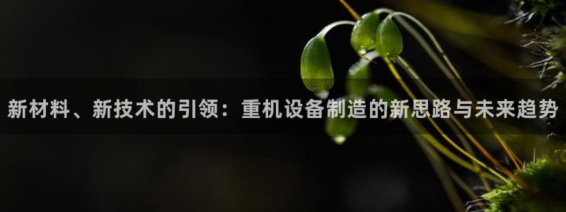 顺盈娱乐平台下载