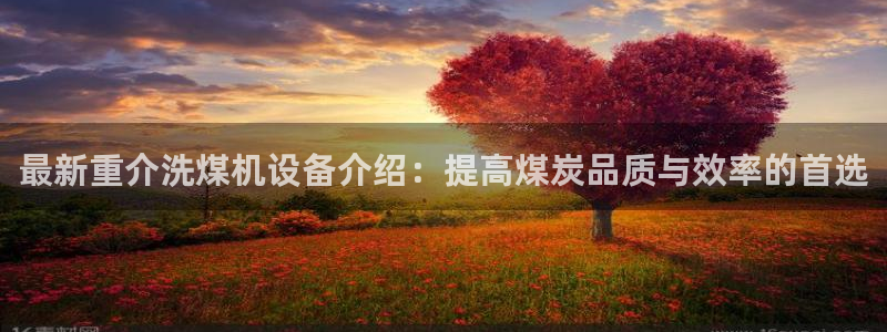 顺盈娱乐招商