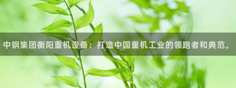 顺盈娱乐主管后原判官333OO