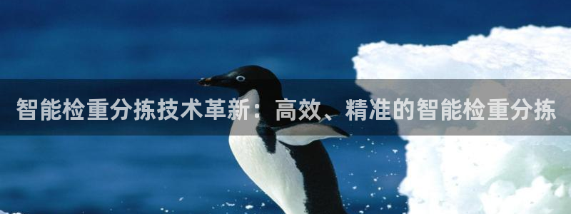 顺盈娱乐最高代理人名单：智能检重分拣技术革新：高效、精准的智