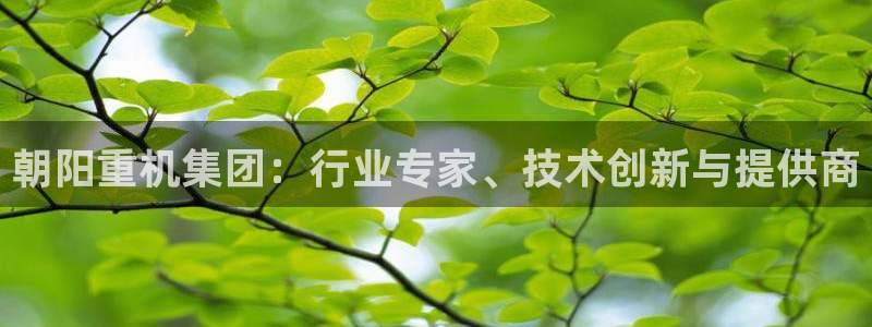 顺盈娱乐场究7276O：朝阳重机集团：行业专家、技术创新与提