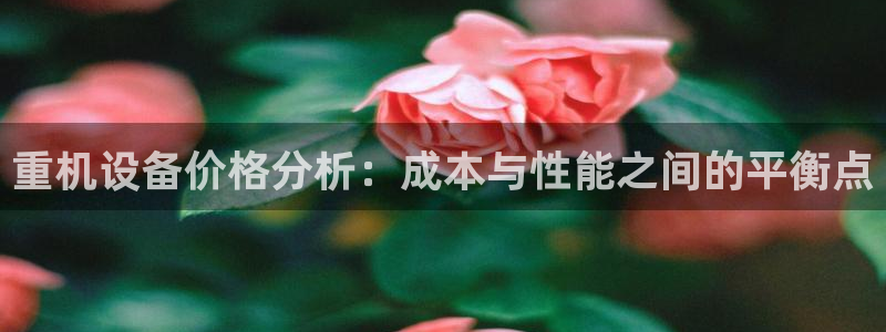 盈顺休闲娱乐室抖音团购：重机设备价格分析：成本与性能之间的平