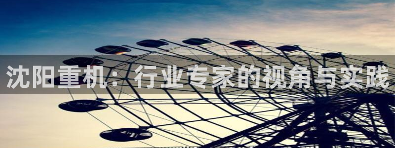 顺盈2娱乐主管刘判官333OO：沈阳重机：行业专家的视角与实