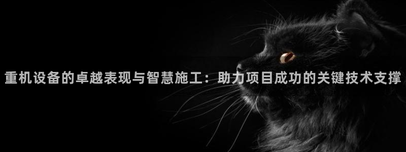 顺盈2娱乐注册问一问：重机设备的卓越表现与智慧施工：助力项目