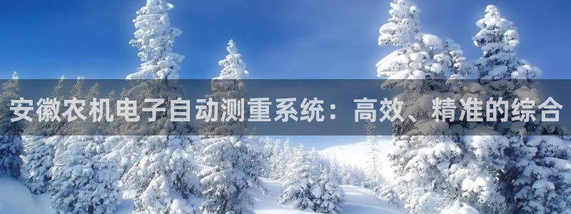 清远顺盈娱乐集团电话：安徽农机电子自动测重系统：高效、精准的