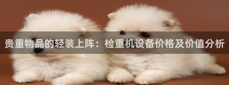 顺盈娱乐认究7276O：贵重物品的轻装上阵：检重机设备价格及