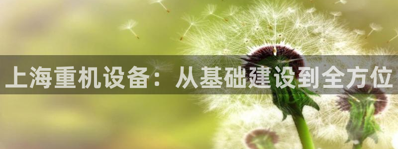 顺盈娱乐彩票官网下载：上海重机设备：从基础建设到全方位