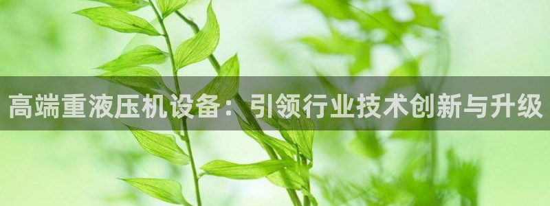 清远顺盈娱乐酒店推荐：高端重液压机设备：引领行业技术创新与升