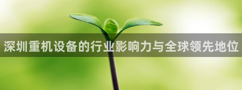 顺盈娱乐下载安装官方