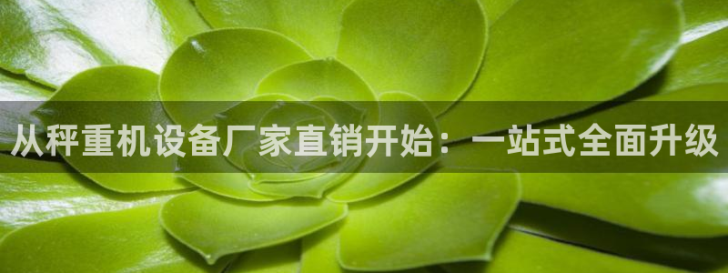 顺盈娱乐最高代理人名单：从秤重机设备厂家直销开始：一站式全面