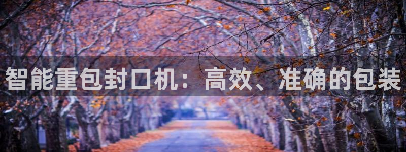顺盈娱乐最高代理人是谁：智能重包封口机：高效、准确的包装