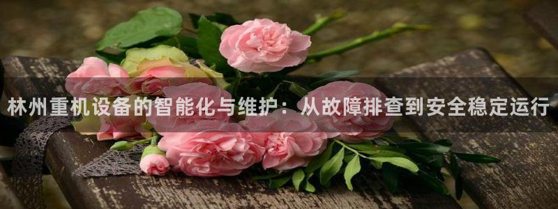 盈顺休闲娱乐室