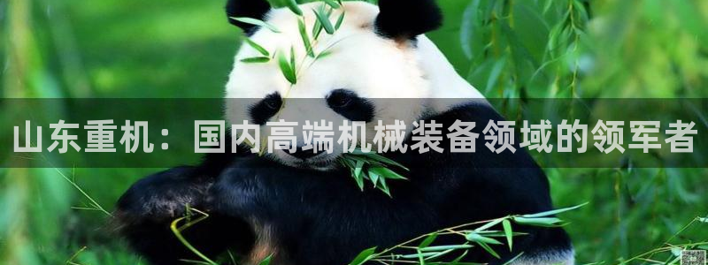 顺盈娱乐平台会黑人吗