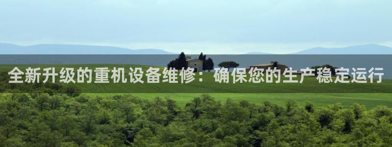 顺盈娱乐铜333OO
