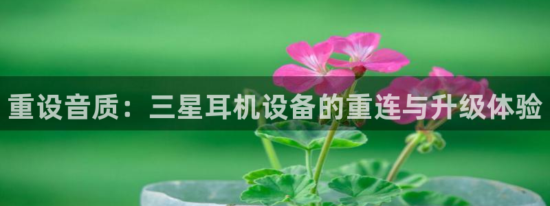 顺盈娱乐最高代理人