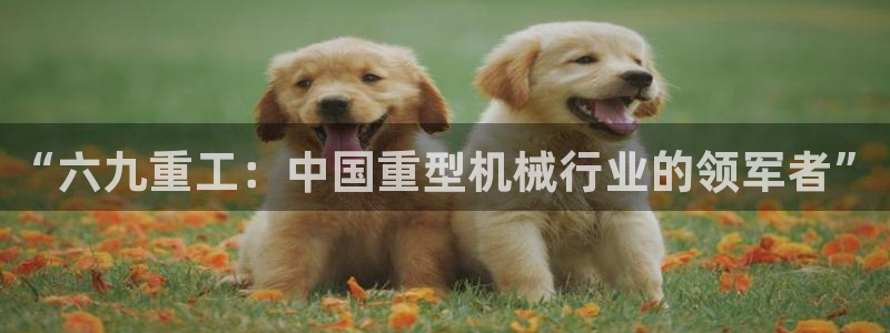 顺盈娱乐结究7276O