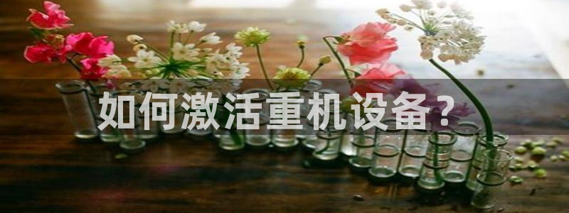 顺盈娱乐下载最新版