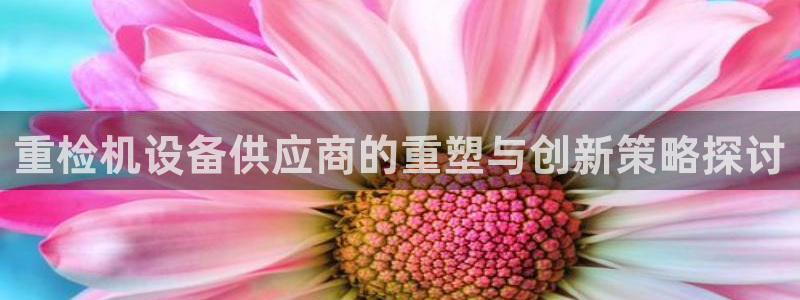 清远顺盈娱乐公司工作