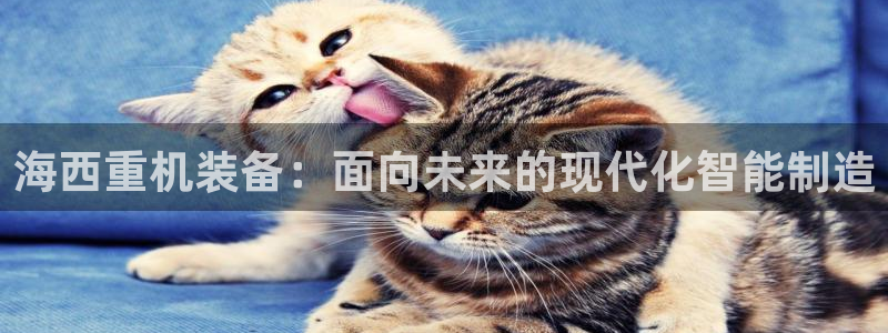 顺盈娱乐网