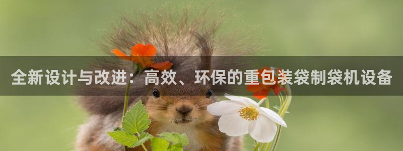顺盈娱乐主管怎么样知乎：全新设计与改进：高效、环保的重包装袋