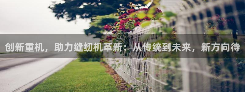 顺盈娱乐2