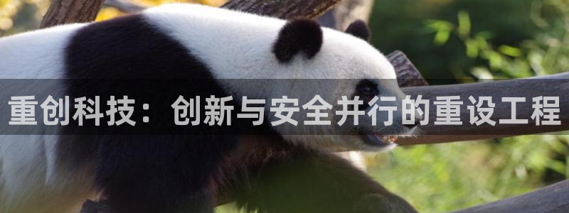 顺盈娱乐注册q779O3唐老鸭