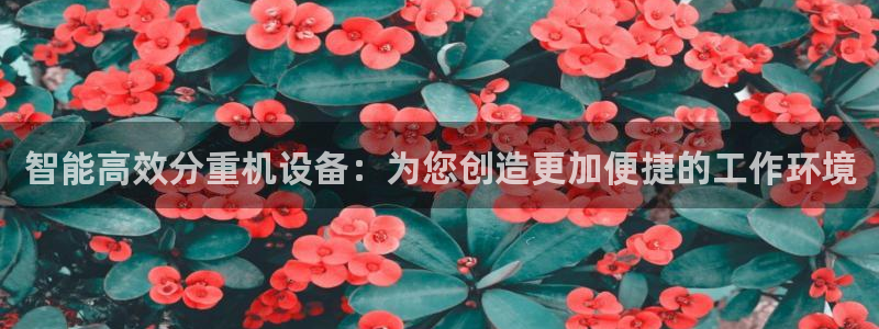 顺盈娱乐代理怎么样了啊