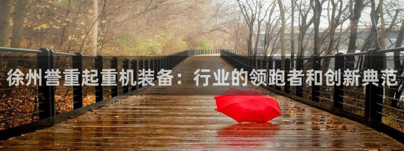 顺盈2娱乐注册问一问：徐州誉重起重机装备：行业的领跑者和创新
