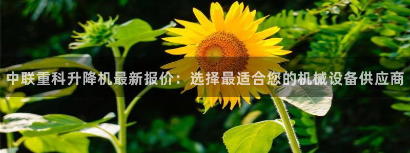顺盈时代广场娱乐项目：中联重科升降机最新报价：选择最适合您的