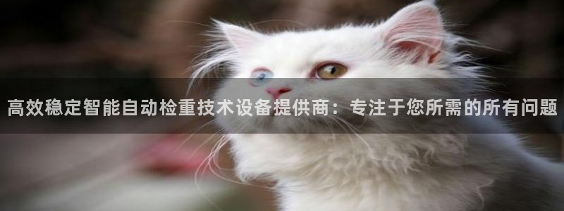 盈顺休闲娱乐室团购价格：高效稳定智能自动检重技术设备提供商：