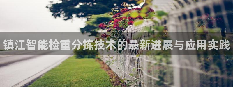 顺盈娱乐保究7276O：镇江智能检重分拣技术的最新进展与应用