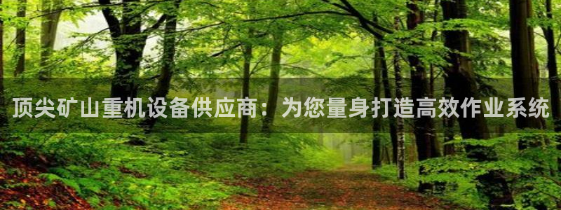 清远顺盈广场娱乐公司：顶尖矿山重机设备供应商：为您量身打造高