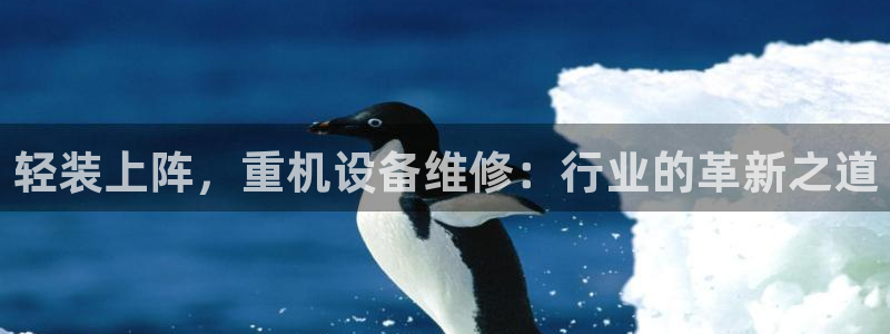顺盈娱乐2：轻装上阵，重机设备维修：行业的革新之道