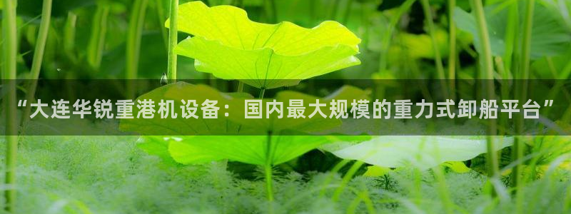 顺盈娱乐注册更究333OO：“大连华锐重港机设备：国内最大规